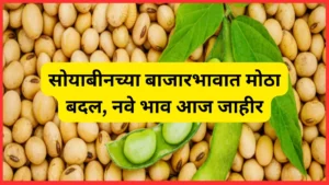 mcx soybean live rate 2023
