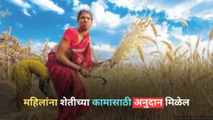 Subsidy scheme for agricultural work for women