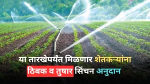 Irrigation Subsidy 2024