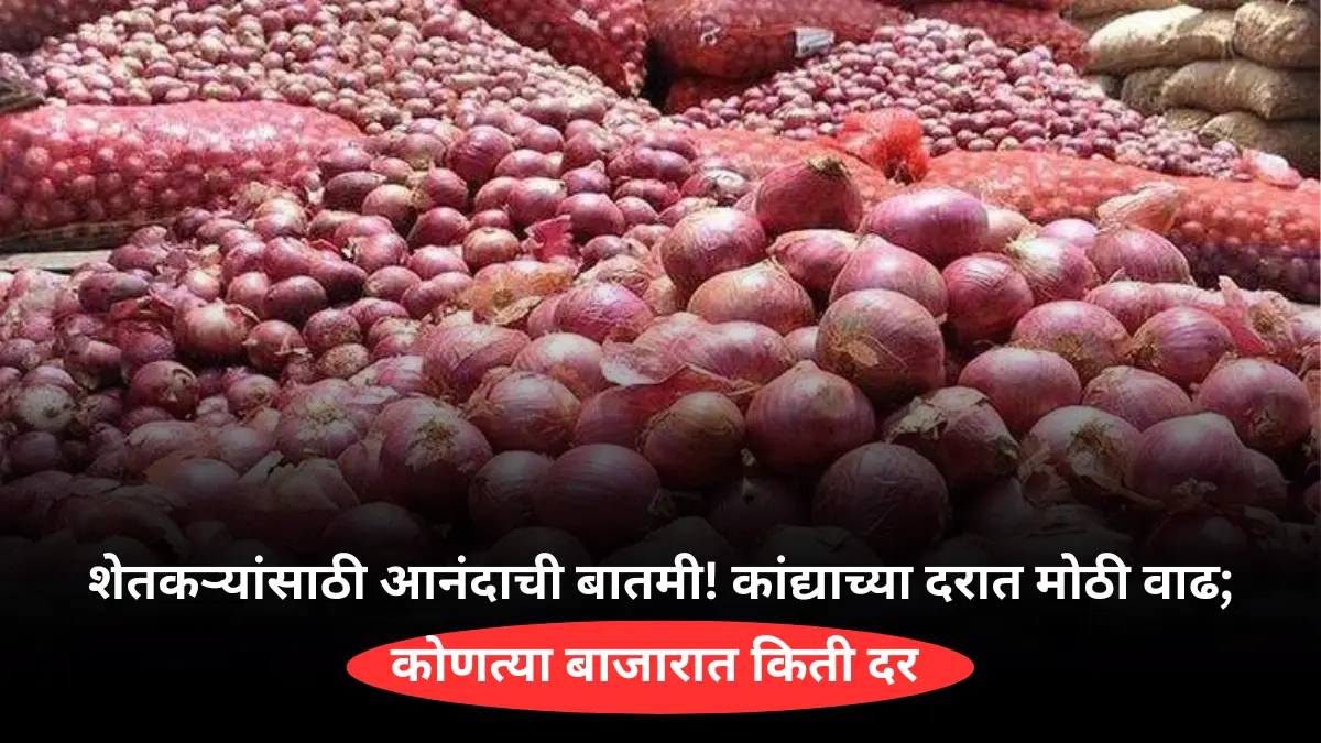 शेतकऱ्यांसाठी आनंदाची बातमी! कांद्याच्या दरात मोठी वाढ; कोणत्या बाजारात किती दर