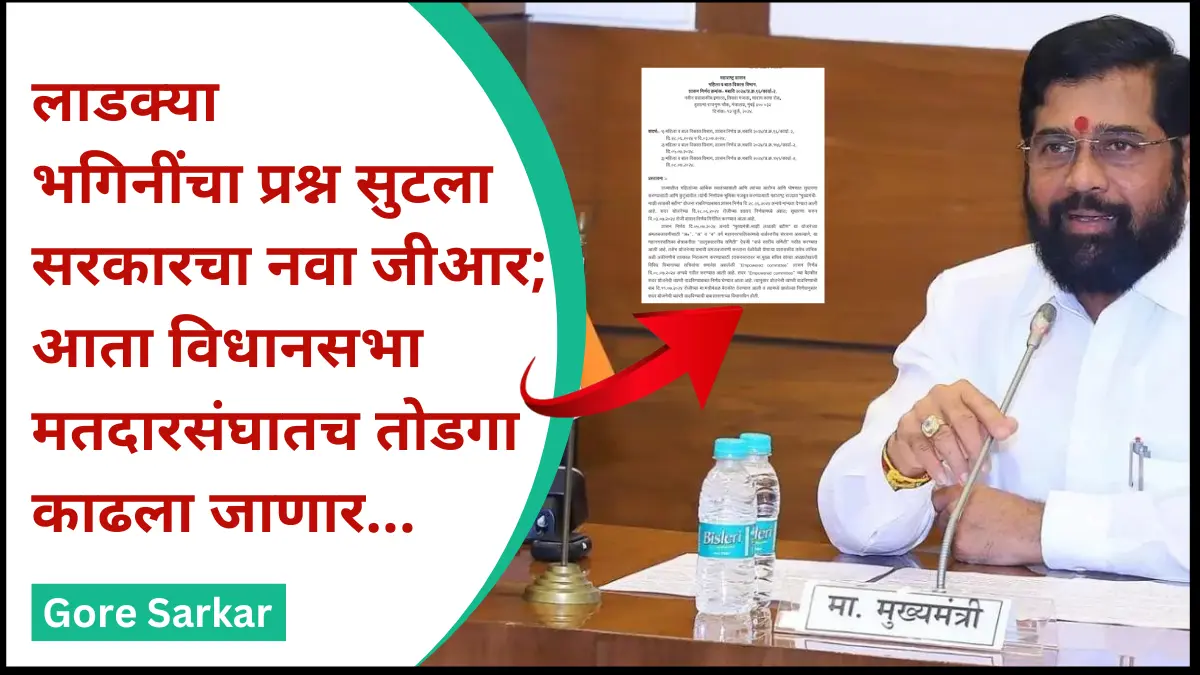 लाडक्या भगिनींचा प्रश्न सुटला, सरकारचा नवा जीआर; आता विधानसभा मतदारसंघातच तोडगा काढला जाणार…