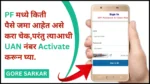Pf che paise kase check karayache