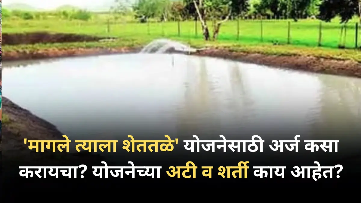 ‘मागले त्याला शेततळे’ योजनेसाठी अर्ज कसा करायचा? योजनेच्या अटी व शर्ती काय आहेत?
