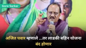 Mukhyamantri ladki bahin yojana Update