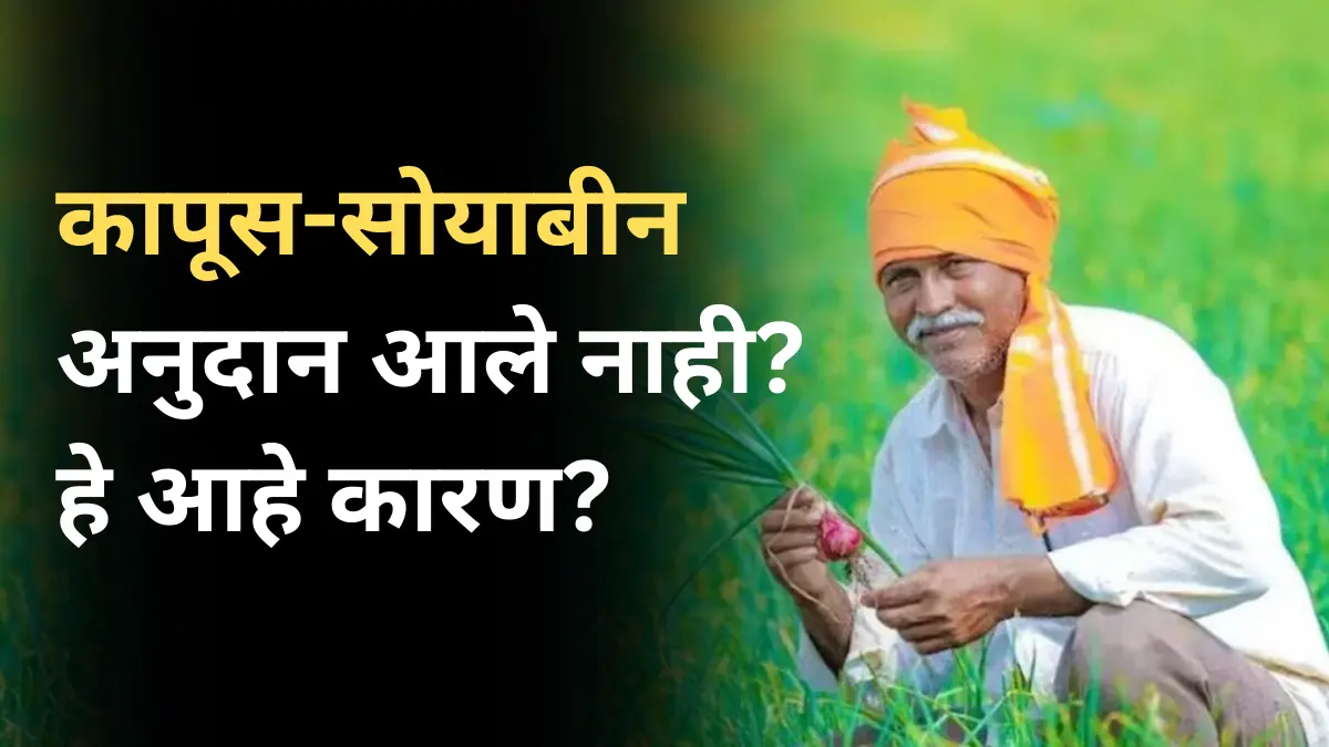 प्रधानमंत्री किसान सन्मान निधी आणि नमो शेतकरी महासन्मान निधी योजनेच्या निधीचे 5 ऑक्टोबर रोजी वितरण!