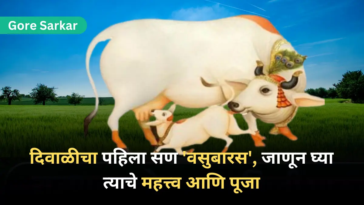 दिवाळीचा पहिला सण ‘वसुबारस’, जाणून घ्या त्याचे महत्त्व आणि पूजा