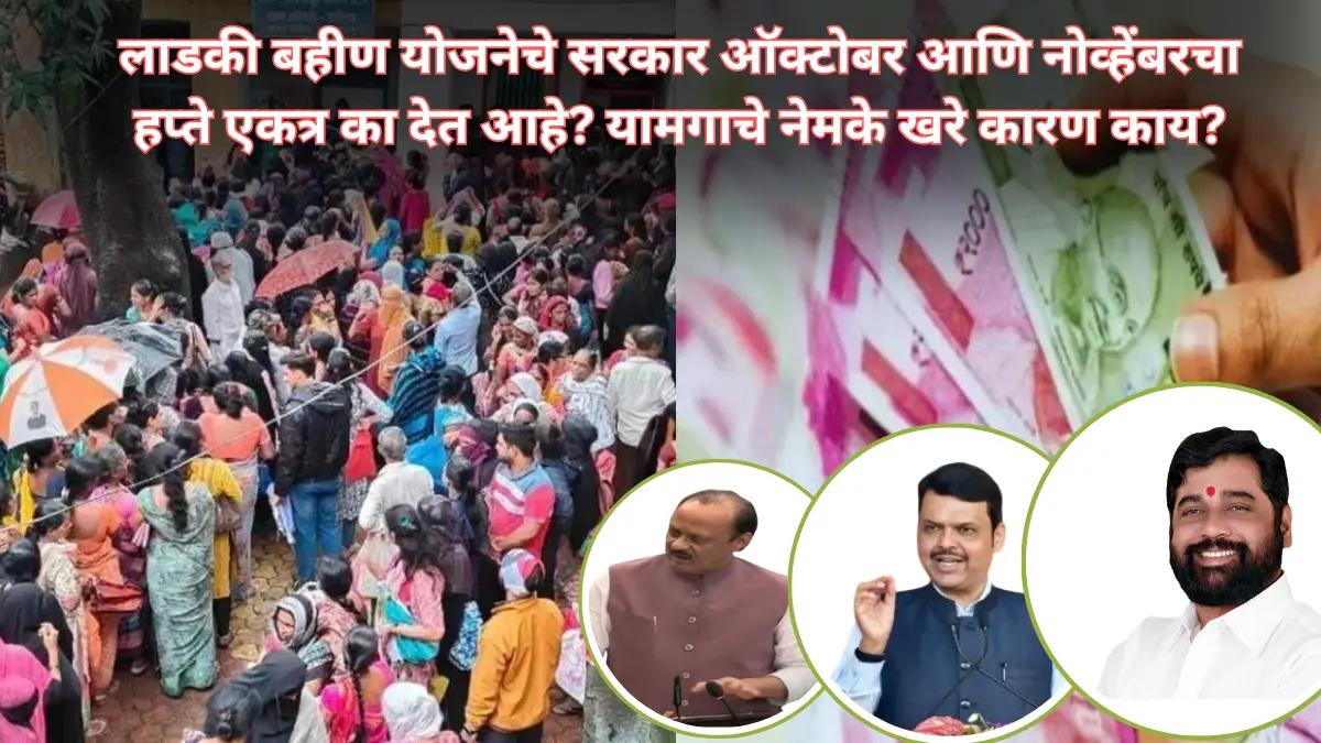 लाडकी बहीण योजनेचे सरकार ऑक्टोबर आणि नोव्हेंबरचा हप्ते एकत्र का देत आहे? यामगाचे नेमके खरे कारण काय?