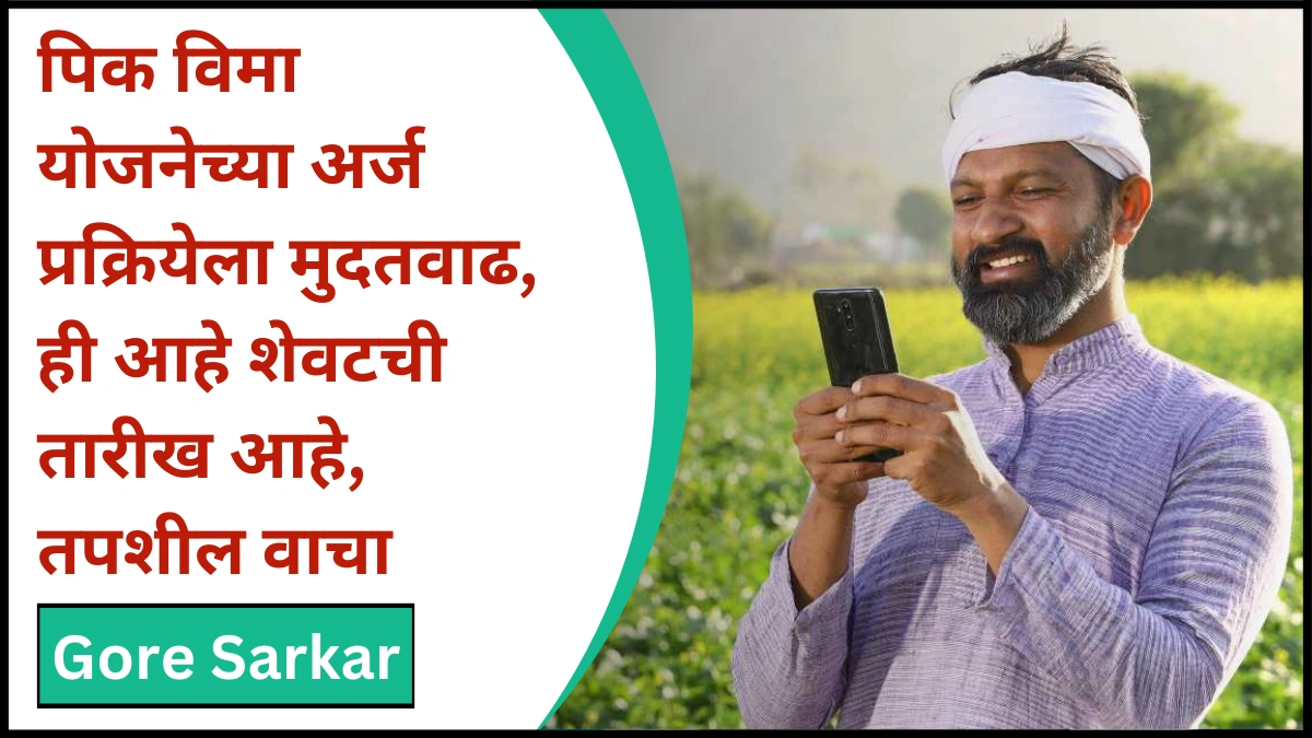 Pik Vima Yojana Update : पिक विमा योजनेच्या अर्ज प्रक्रियेला मुदतवाढ , ही आहे शेवटची तारीख आहे, तपशील वाचा