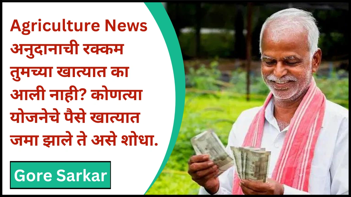 Agriculture News : अनुदानाची रक्कम तुमच्या खात्यात का आली नाही? कोणत्या योजनेचे पैसे खात्यात जमा झाले ते असे शोधा.