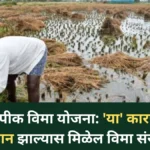 नवीन पीक विमा योजना: ‘या’ कारणांमुळे नुकसान झाल्यास मिळेल विमा संरक्षण!