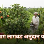 ‘या’ सरकारी योजनेंतर्गत ड्रॅगन फ्रुट, ॲव्होकाडोसह लावा 20 प्रकारची फळपिके – मिळवा अनुदान!