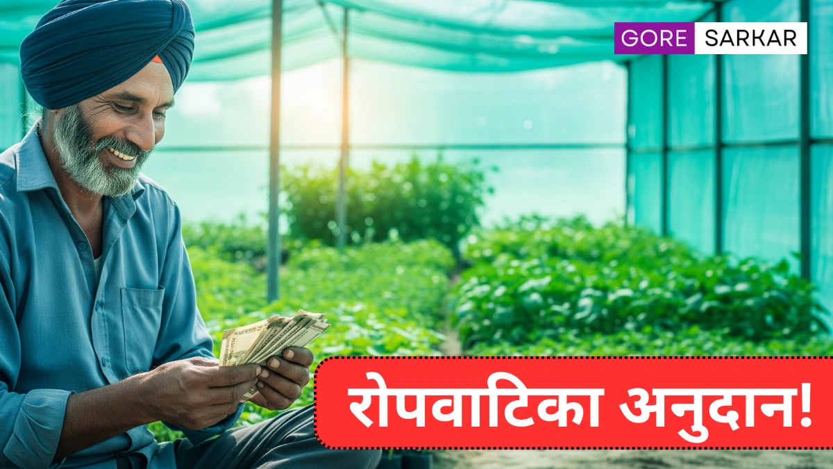 🌱 शेतकऱ्यांसाठी सुवर्णसंधी! रोपवाटिका सुरू करा आणि मिळवा 50% अनुदान – जाणून घ्या संपूर्ण प्रक्रिया