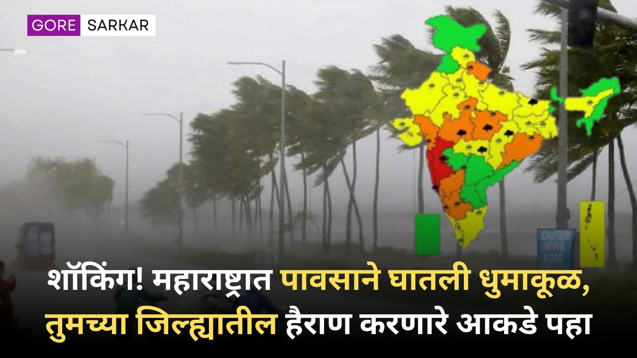 शॉकिंग! महाराष्ट्रात पावसाने घातली धुमाकूळ, तुमच्या जिल्ह्यातील हैराण करणारे आकडे पहा