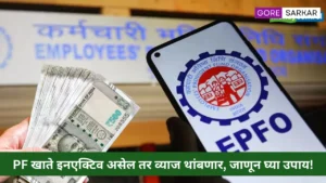 EPFO अपडेट: PF खाते इनएक्टिव असेल तर व्याज थांबणार, जाणून घ्या उपाय!