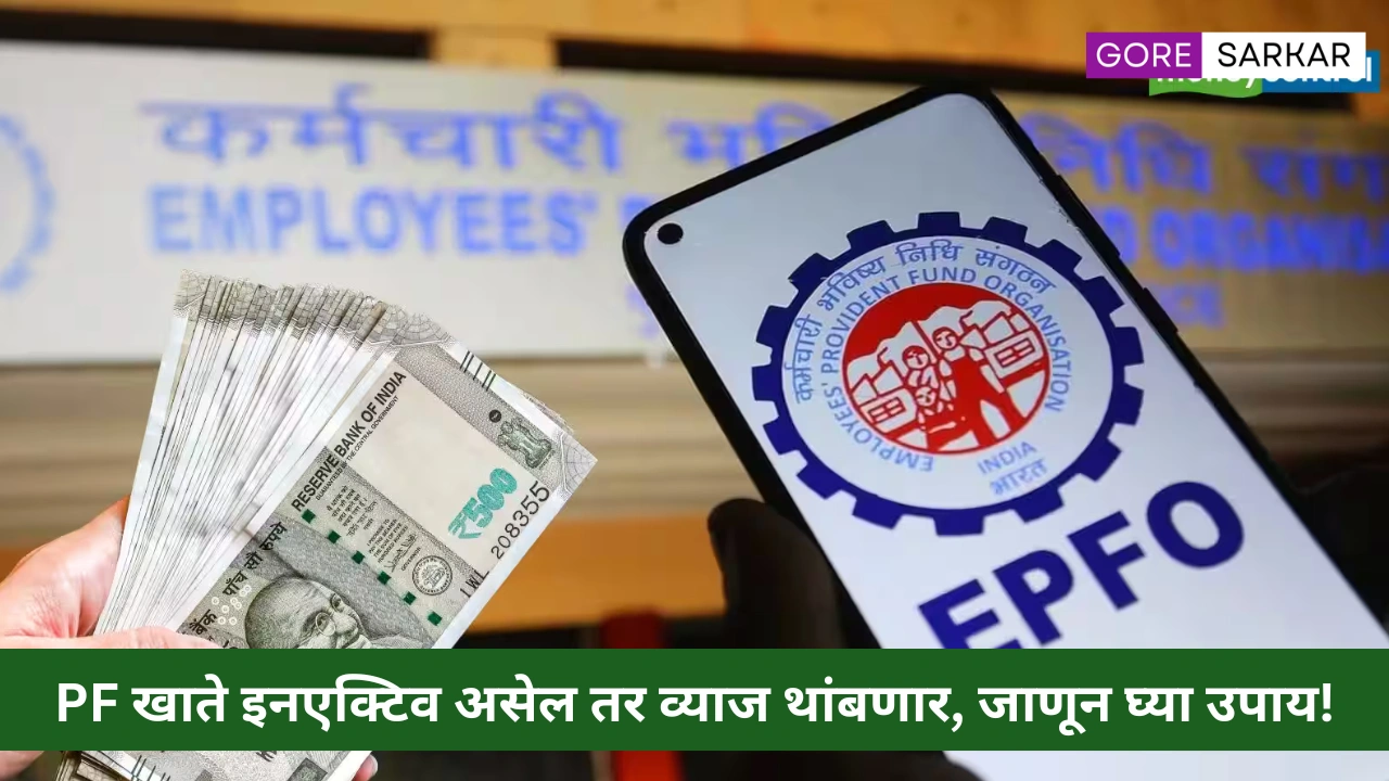 EPFO अपडेट: PF खाते इनएक्टिव असेल तर व्याज थांबणार, जाणून घ्या उपाय!
