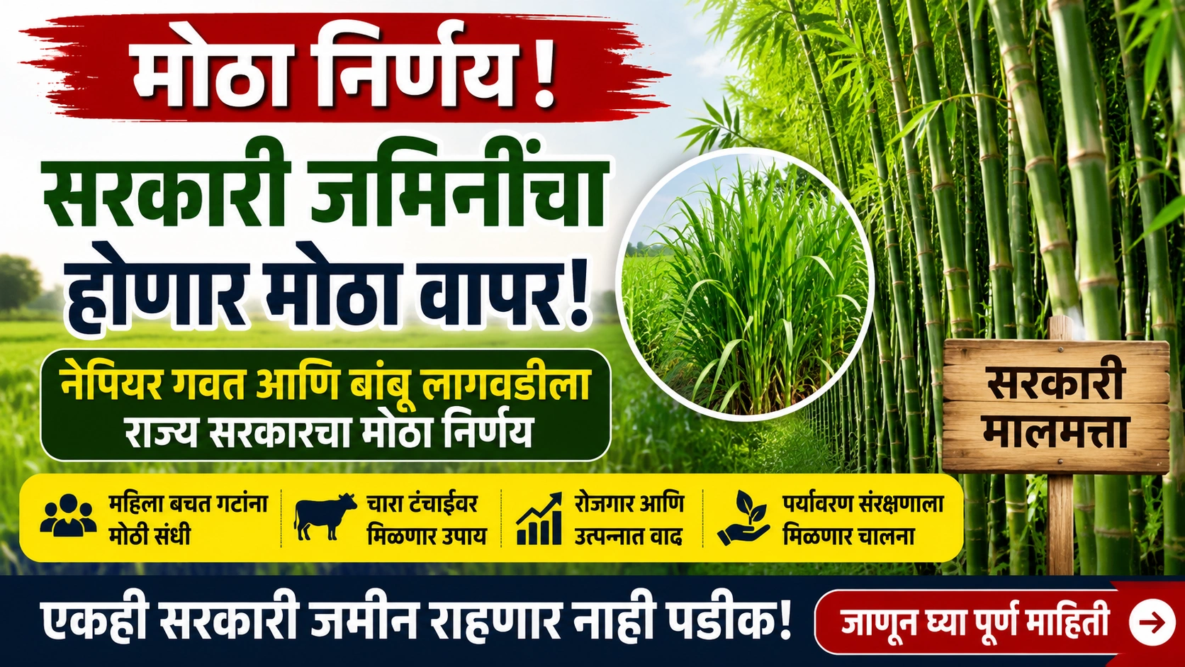 गावापासून शहरापर्यंत सरकारी जमिनींचा होणार मोठा वापर! महसूल विभागाचा महत्त्वाचा निर्णय गावापासून शहरापर्यंत सरकारी जमिनींचा होणार मोठा वापर! महसूल विभागाचा महत्त्वाचा निर्णय