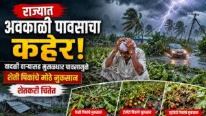 राज्यात अवकाळी पावसाचा कहर; वादळी वाऱ्यासह मुसळधार पावसामुळे शेती पिकांचे मोठे नुकसान, शेतकरी चिंतेत