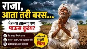 राजा, आता तरी बरस… पेरण्या सज्ज, पण पावसाच्या प्रतीक्षेत बळीराजा; वाढली शेतकऱ्यांची चिंता
